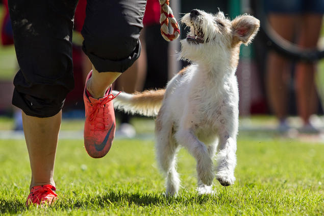 Agility