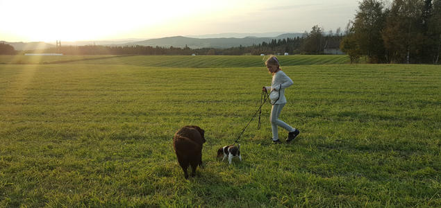 Foto: Hege Ness Larsen Aktiv hundeeier med to hunder på et jorde