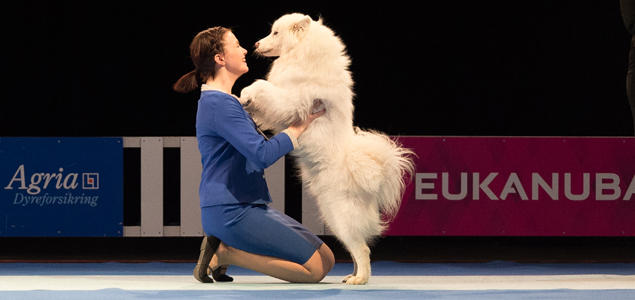 Foto: Ole Walter Sundlo Juniorhandling på Dogs4all