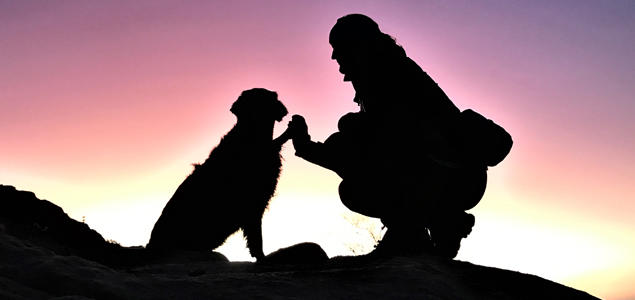 Foto: Nora O. Lie Hund og menneske i solnedgang