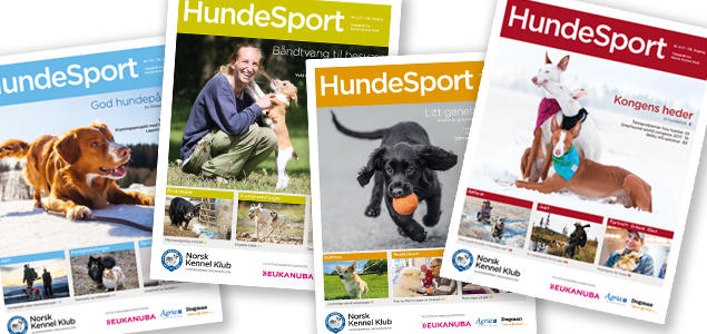 Hundesport 2017 Hundesport 2017