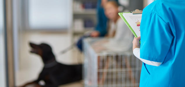 Foto: iStock Dyrlegens venterom