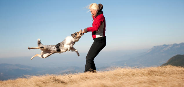 Foto: iStock Hund som leker med eier