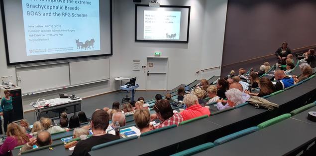BOAS-seminar BOAS-seminar
