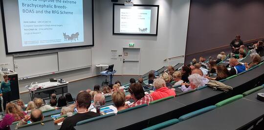 BOAS-seminar