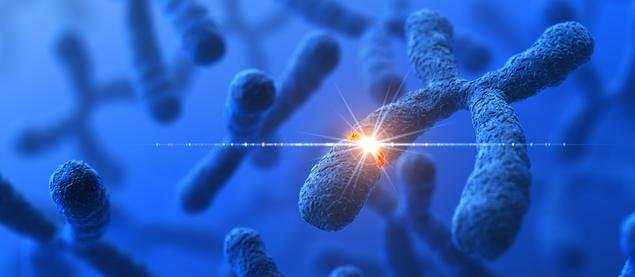 Foto: iStock kromosomer