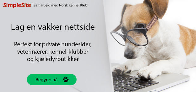 Lag en vakker nettside Lag en vakker nettside