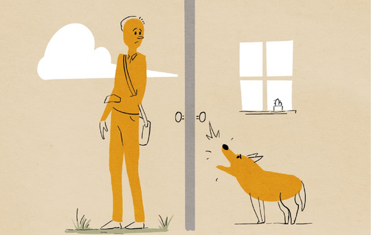 Hund alene hjemme