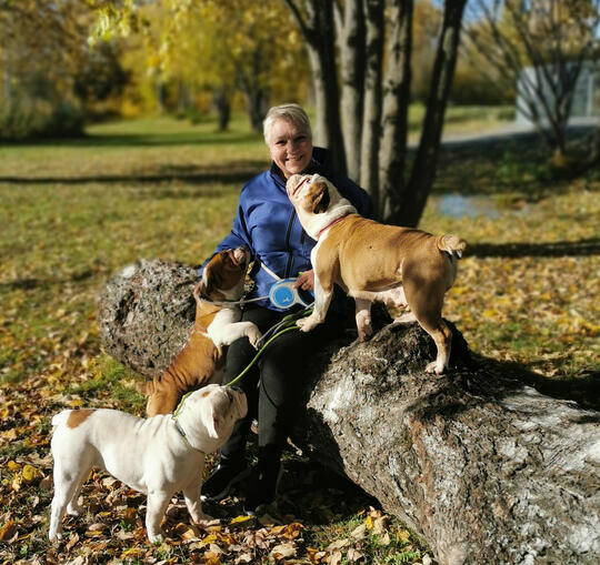 Lena Haugland and english bulldogs 
